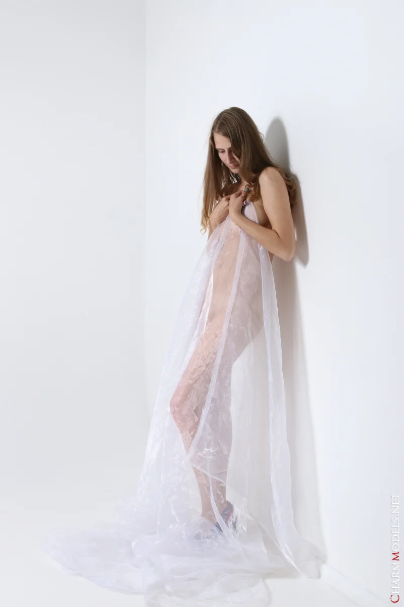 Erotic Portrait of Mila Monroe in Sheer Veil Preview picture 3